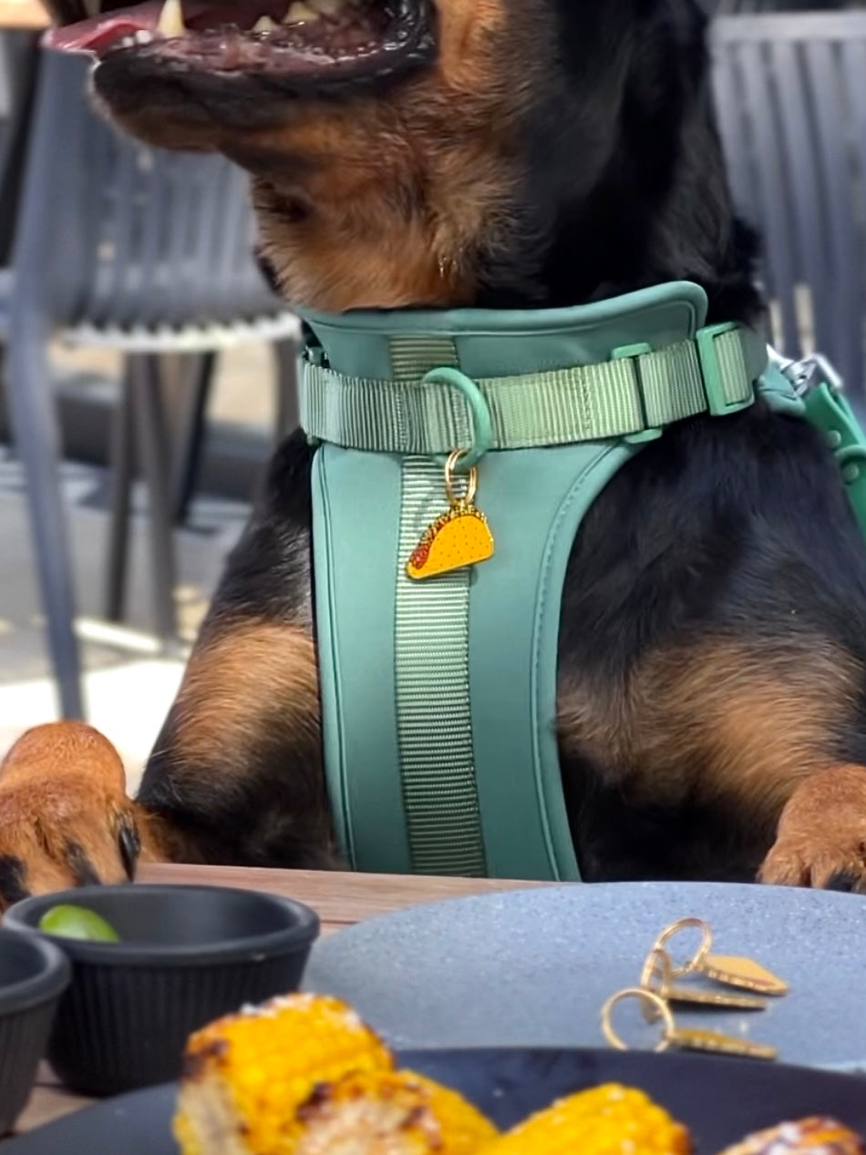 Taco Pet Charm