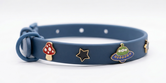 Collar con charms