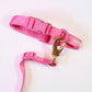 NEW Set Collar + correa + cinturón con mopibag  hot pink