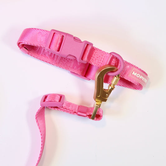 Set Collar + correa + cinturón con mopibag  hot pink