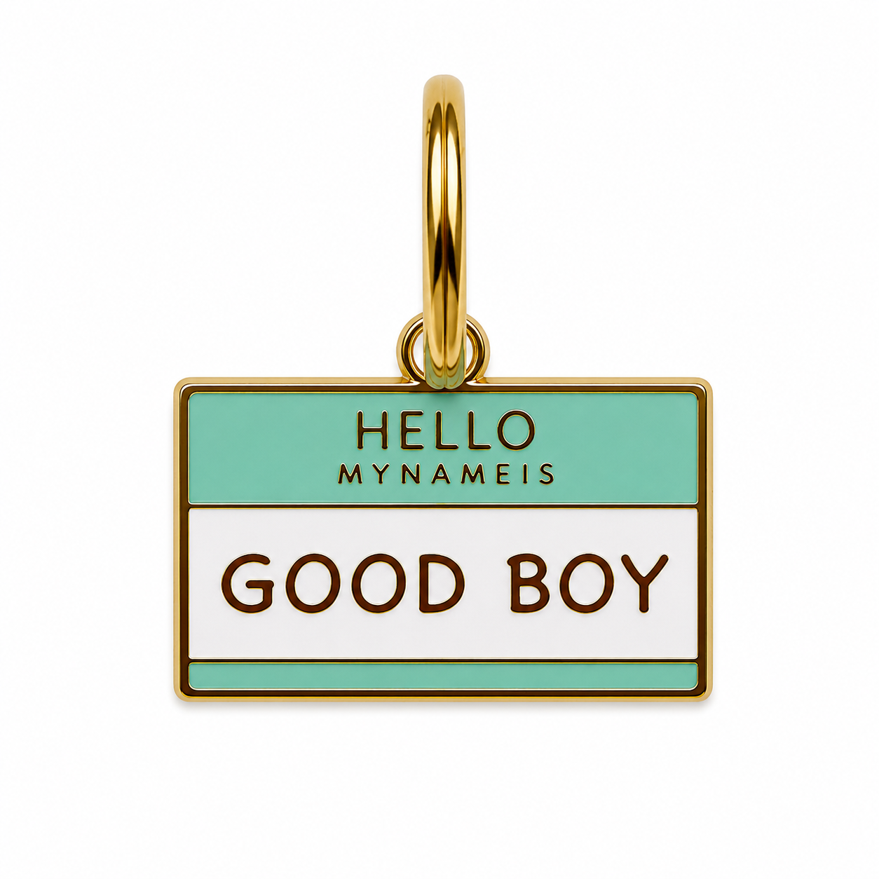 Hello my name is Good Boy Tag