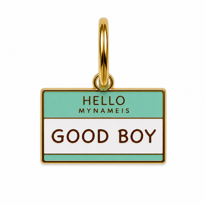 Hello my name is Good Boy Tag