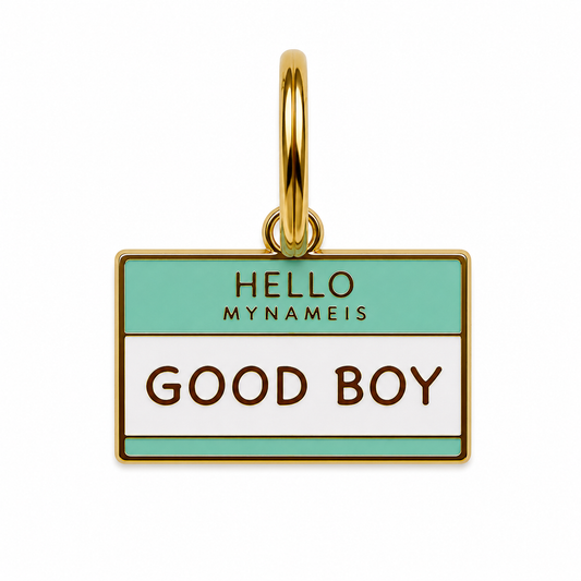 Hello my name is Good Boy Tag