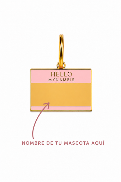 Hello my name is pink/blue tags