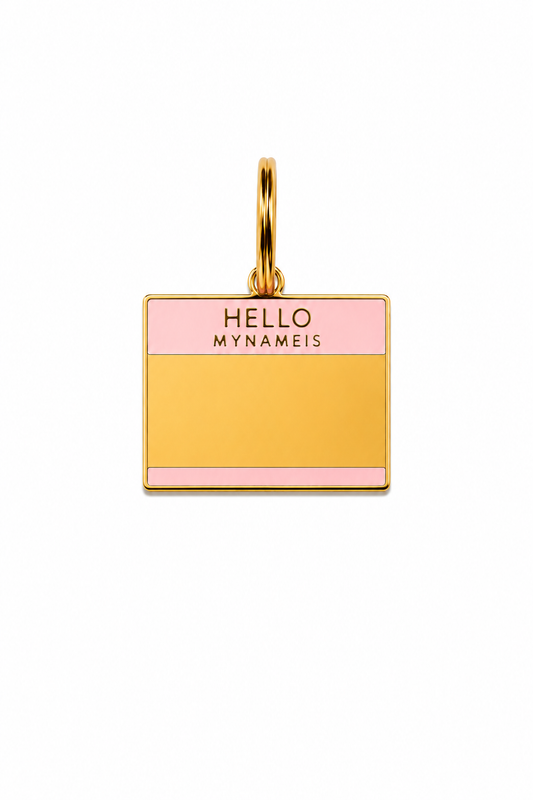 Hello my name is pink/blue tags