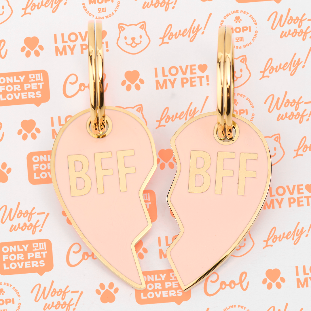 BFF Charms