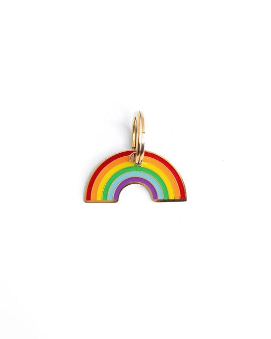 Rainbow Pet charm